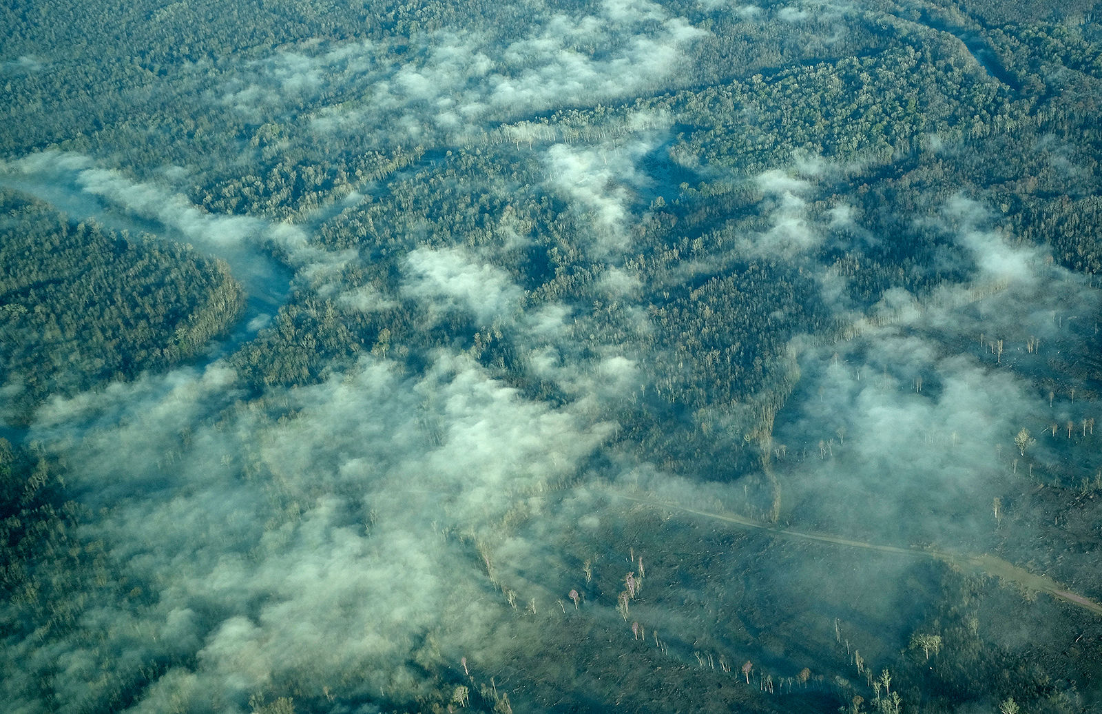 0128 angel flight_JM13.JPG